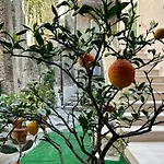 Al Castello Dei Limoni 3*