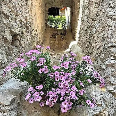 Al Castello Dei Limoni Lägenhetshotell 3*